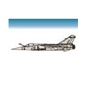 Mirage F-1 / Ala 11/14/462 Esc